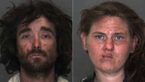 Couple accused of molesting 5-year-old son and may have sexually abused their dogs